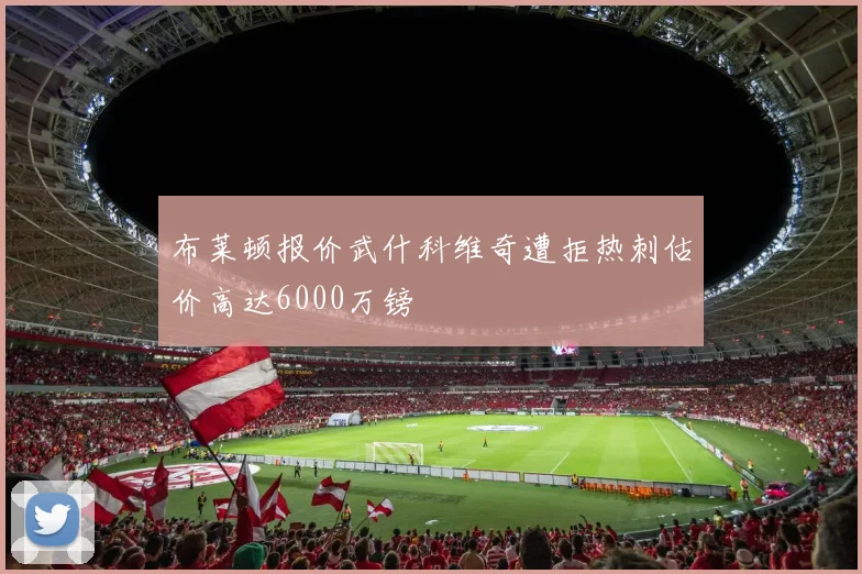 布莱顿报价武什科维奇遭拒热刺估价高达6000万镑