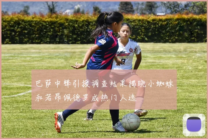巴萨中锋引援调查结果揭晓小蜘蛛和若昂佩德罗成热门人选