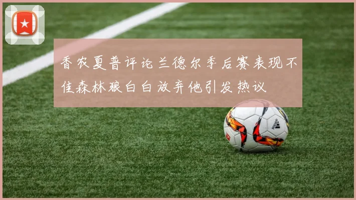 香农夏普评论兰德尔季后赛表现不佳森林狼白白放弃他引发热议